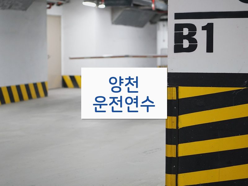 양천운전연수 후기