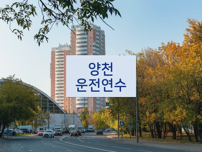 양천운전연수 후기