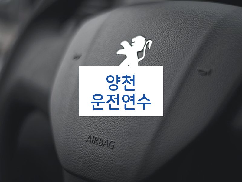 양천운전연수 후기