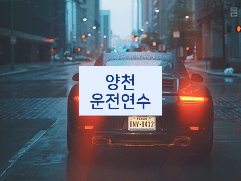 양천운전연수 후기