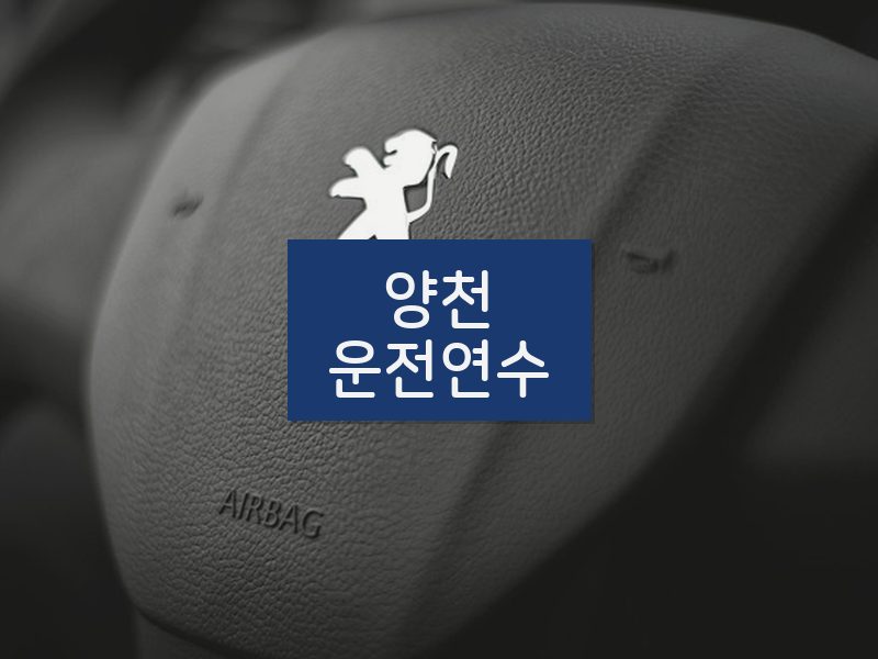양천운전연수 후기