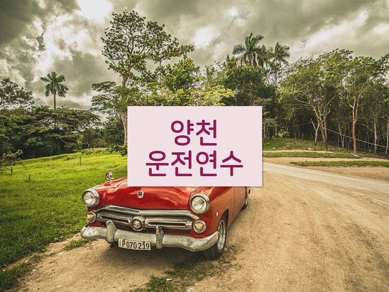 양천운전연수 후기