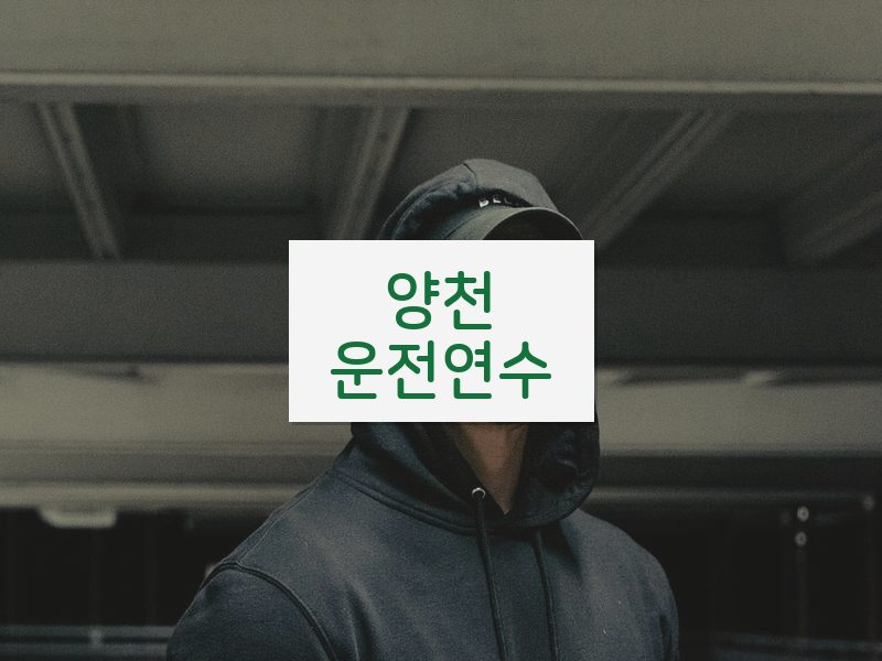 양천운전연수 후기