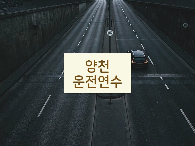 양천운전연수 후기
