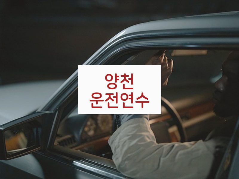 양천운전연수 후기