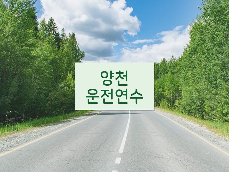 양천운전연수 후기