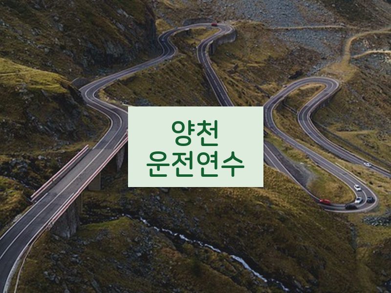양천운전연수 후기