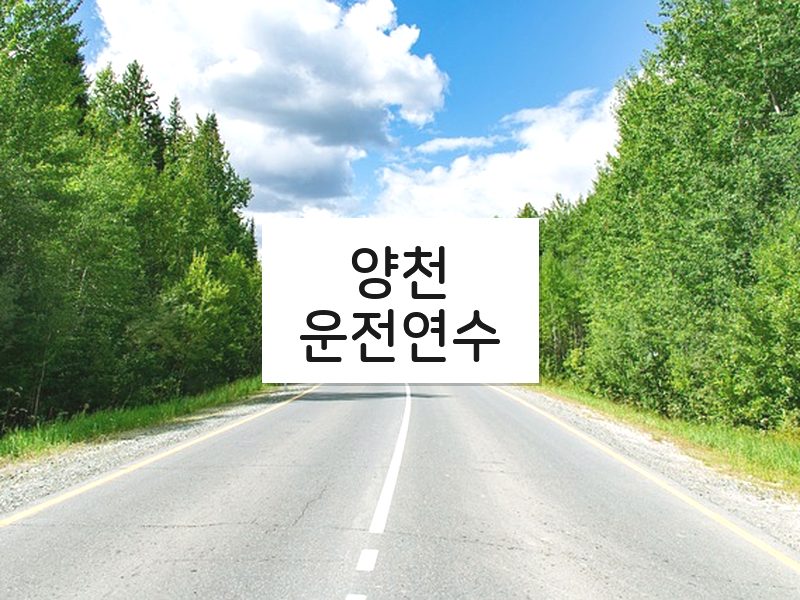 양천운전연수 후기