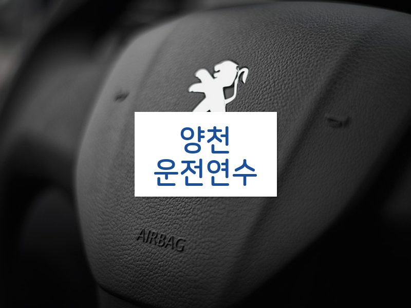 양천운전연수 후기
