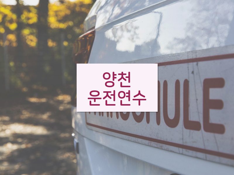 양천운전연수 후기