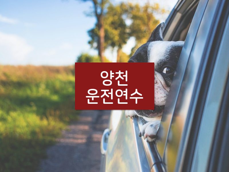 양천운전연수 후기