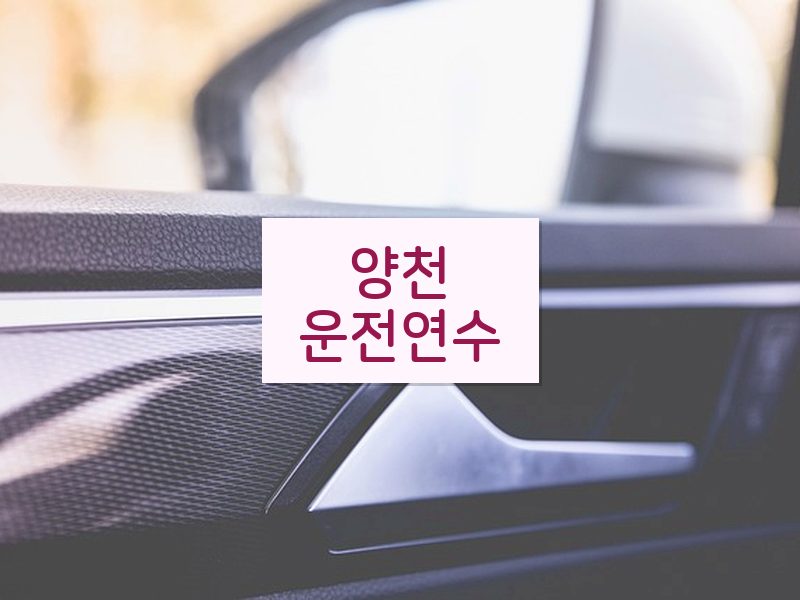 양천운전연수 후기