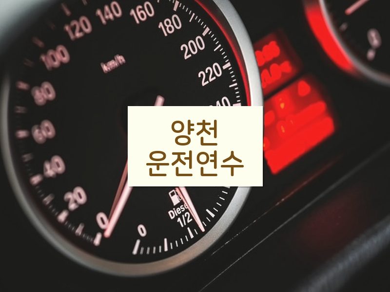 양천운전연수 후기