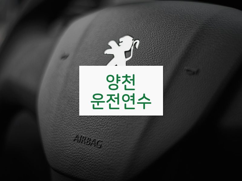 양천운전연수 후기
