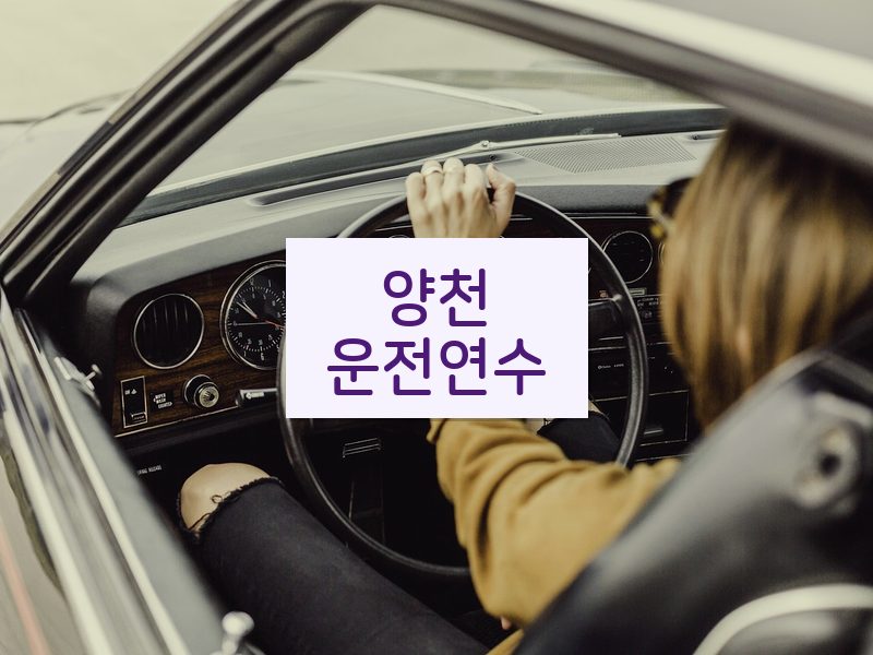 양천운전연수 후기