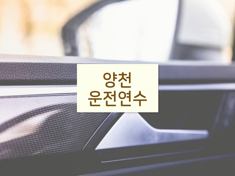 양천운전연수 후기