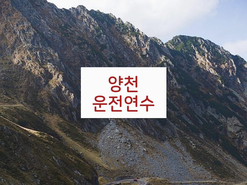 양천운전연수 후기