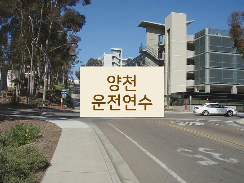 양천운전연수 후기