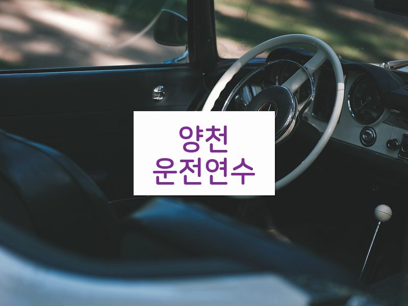 양천운전연수 후기
