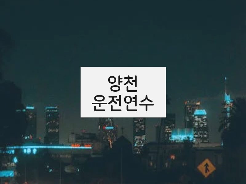 양천운전연수 후기