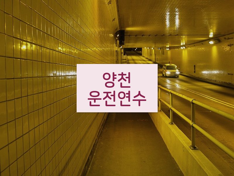 양천운전연수 후기