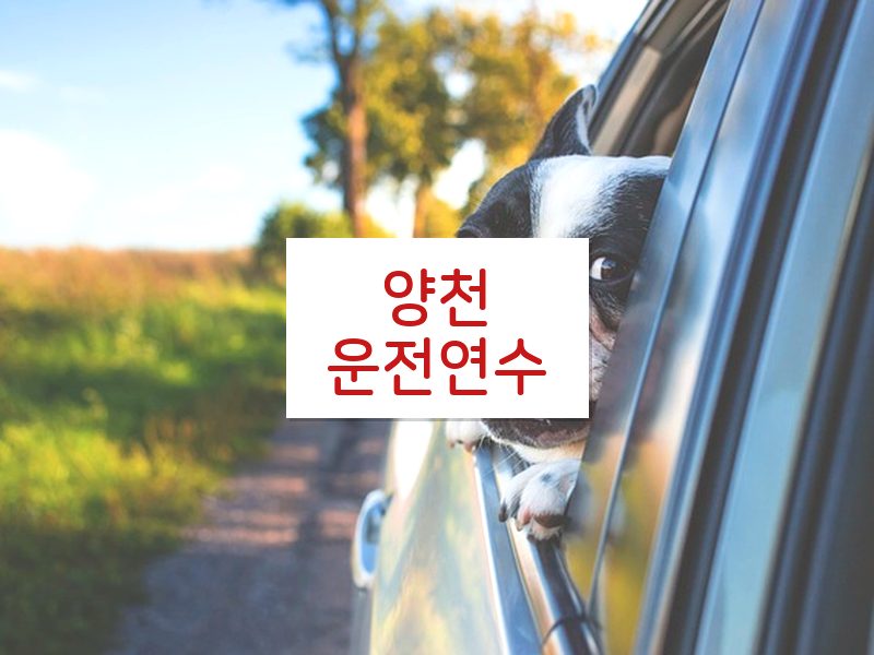 양천운전연수 후기