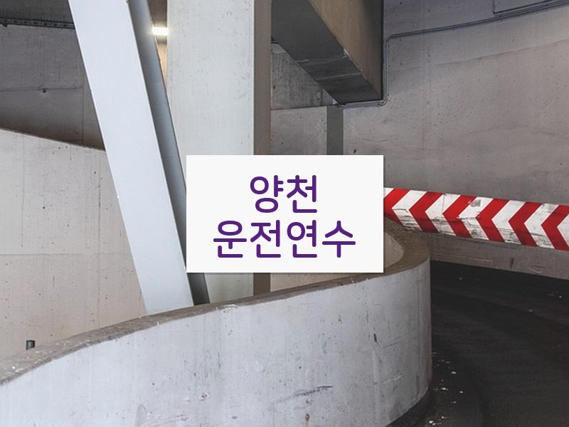 양천운전연수 후기