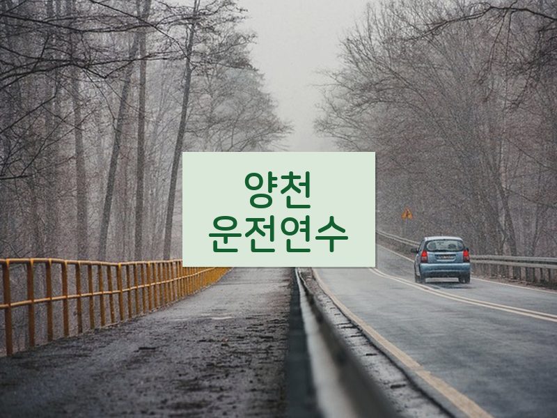 양천운전연수 후기