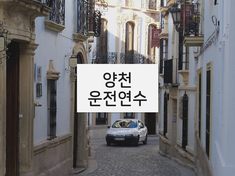 양천운전연수 후기