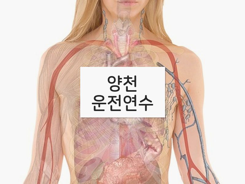 양천운전연수 후기