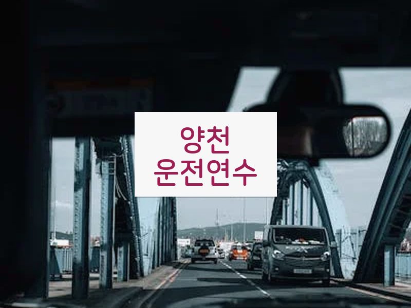 양천운전연수 후기