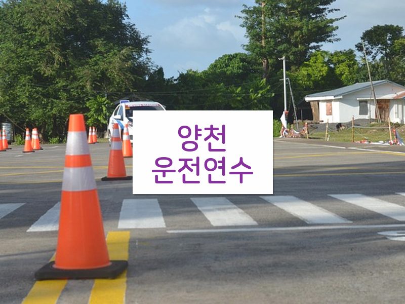 양천운전연수 후기