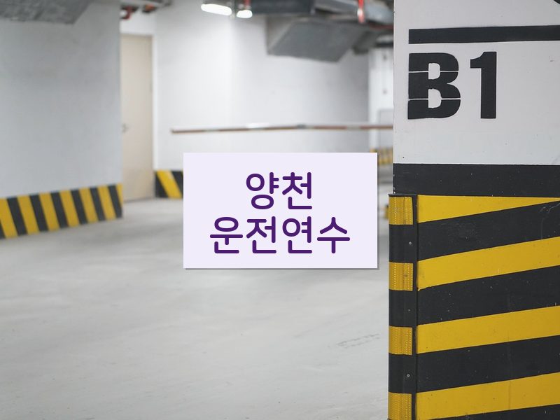 양천운전연수 후기
