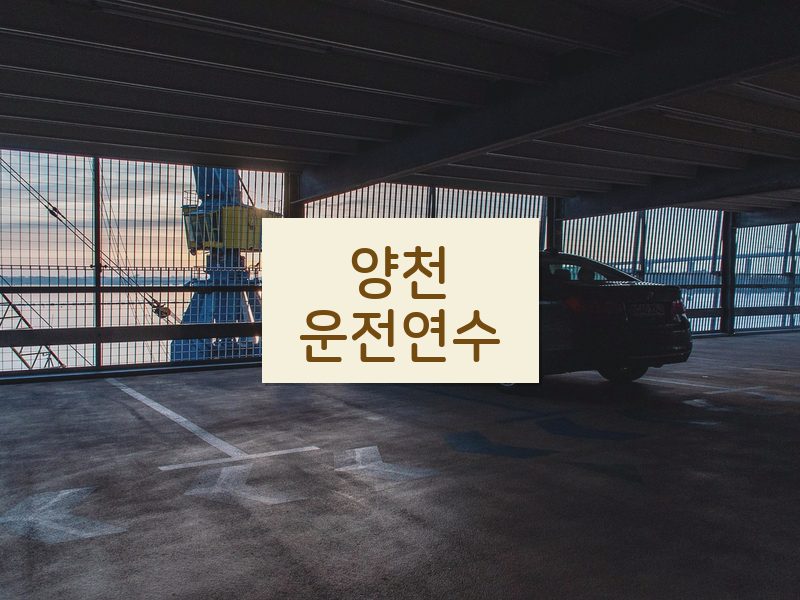 양천운전연수 후기