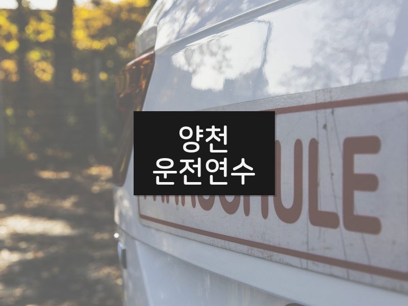 양천운전연수 후기