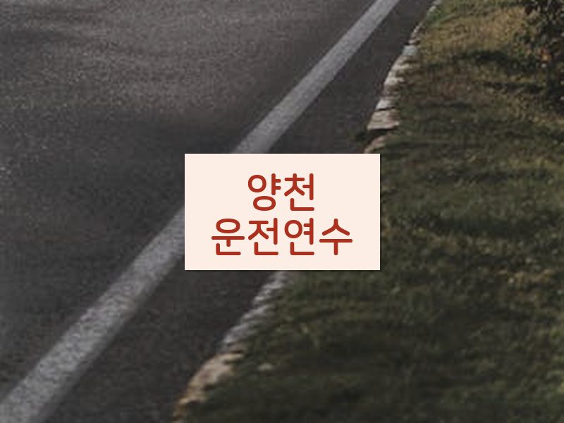 양천운전연수 후기
