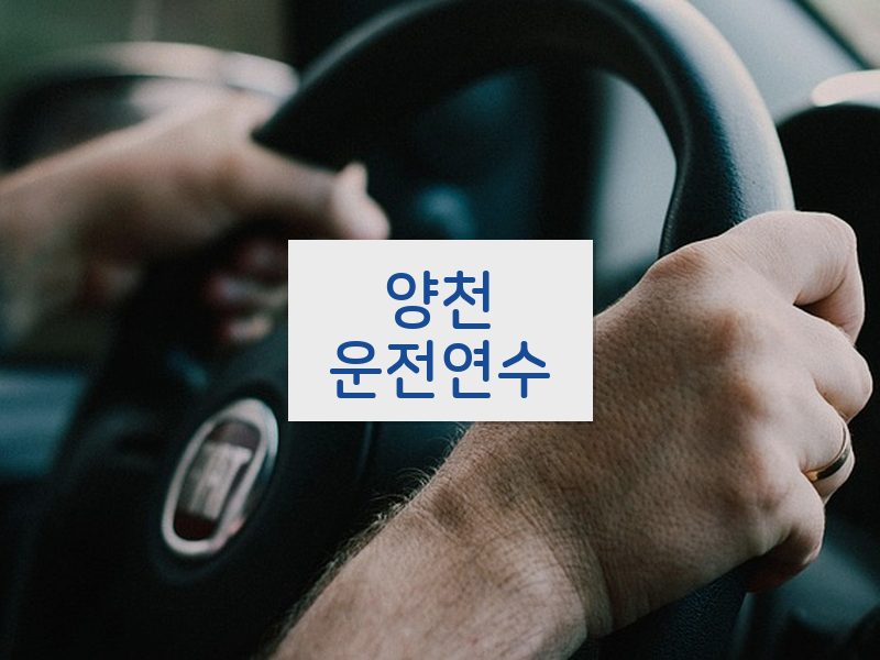 양천운전연수 후기