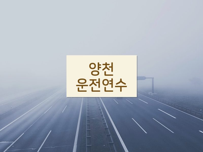 양천운전연수 후기