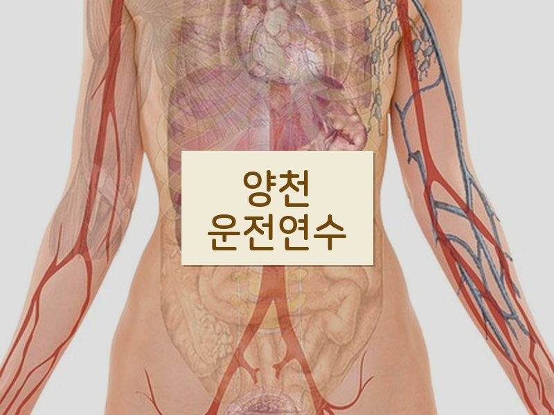양천운전연수 후기