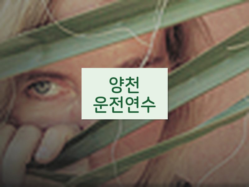 양천운전연수 후기