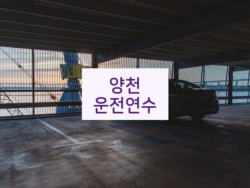 양천운전연수 후기
