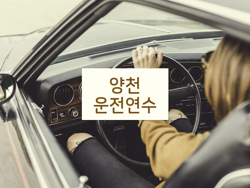 양천운전연수 후기