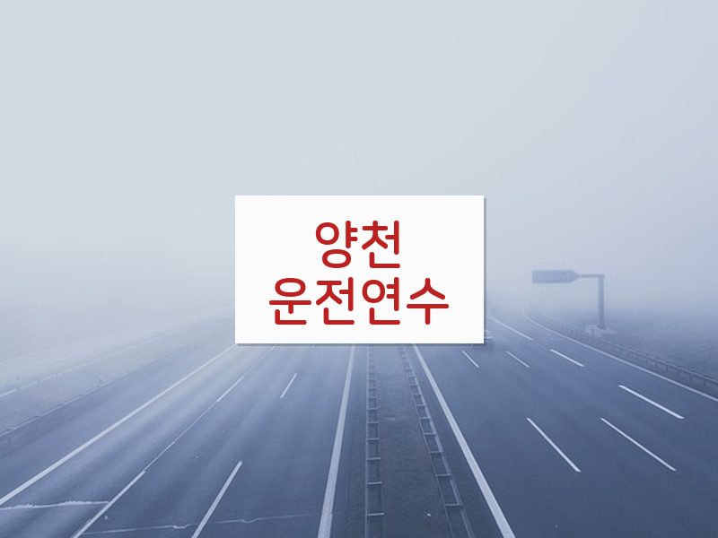 양천운전연수 후기
