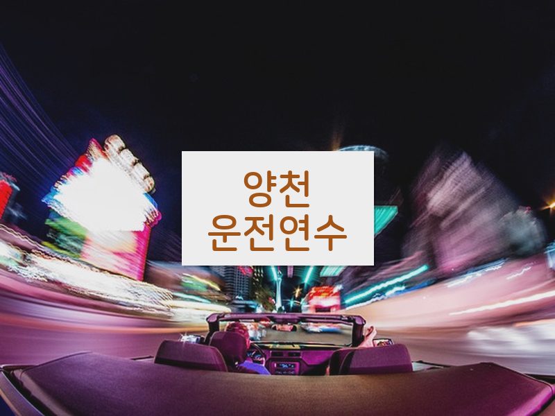 양천운전연수 후기