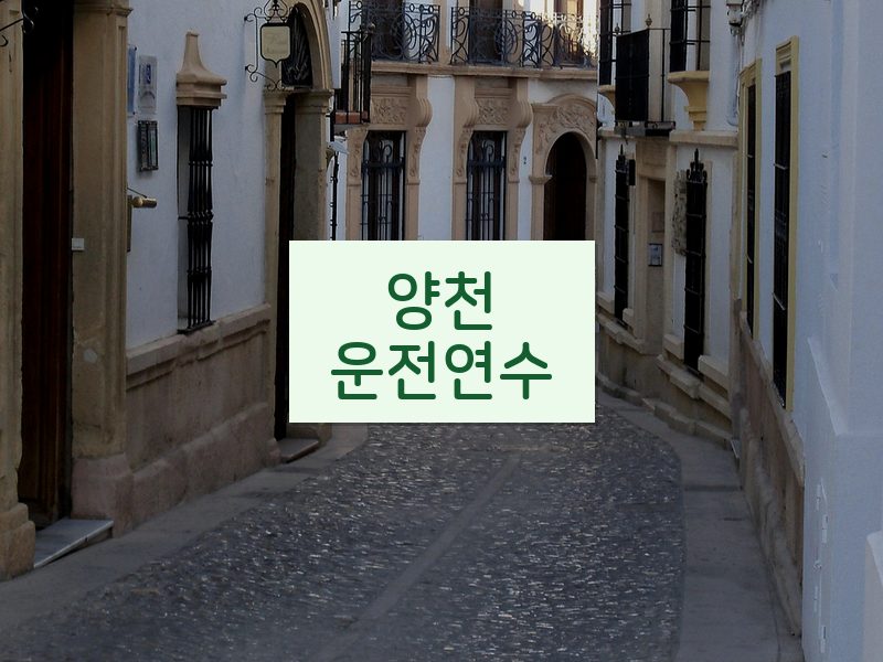 양천운전연수 후기