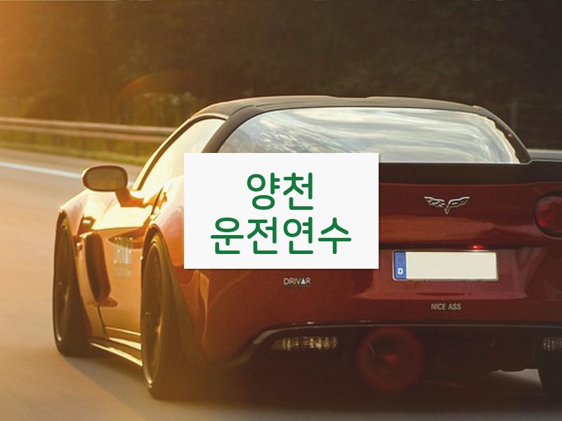 양천운전연수 후기