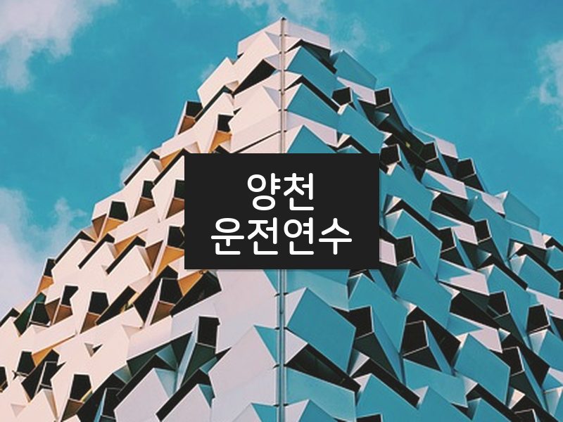 양천운전연수 후기