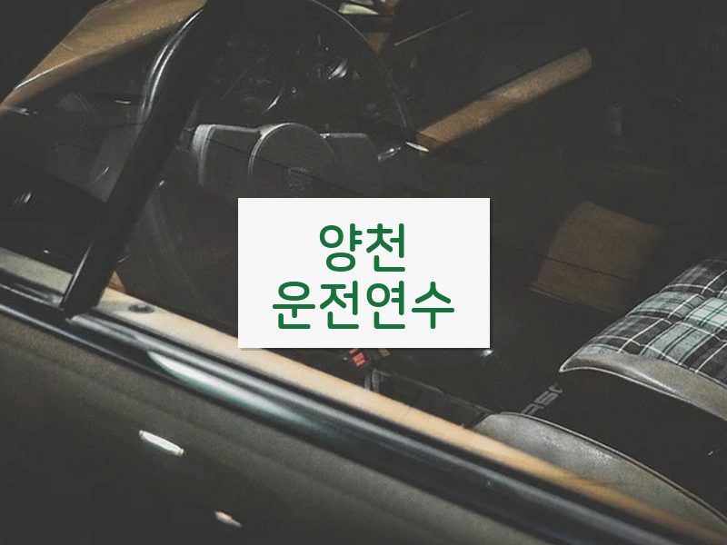 양천운전연수 후기