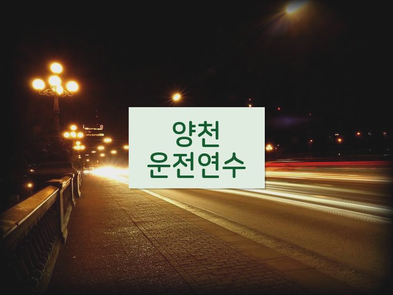 양천운전연수 후기