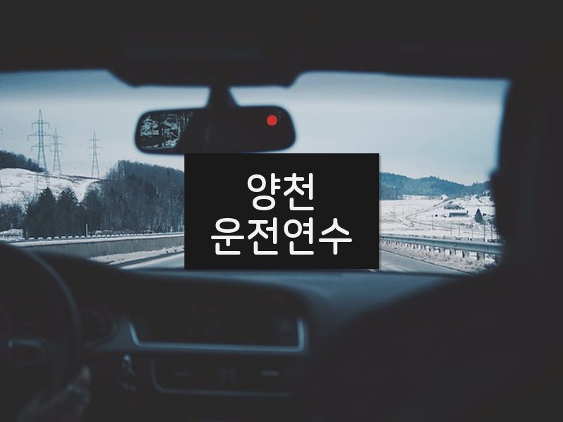 양천운전연수 후기